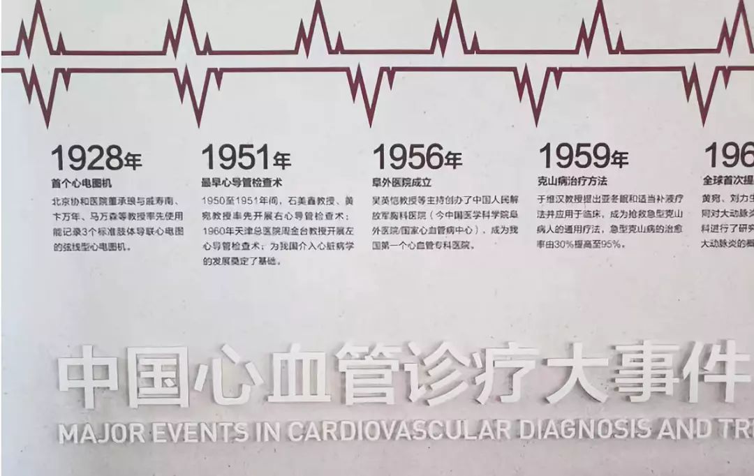 引言：雷锋心水论枟233939的重要性