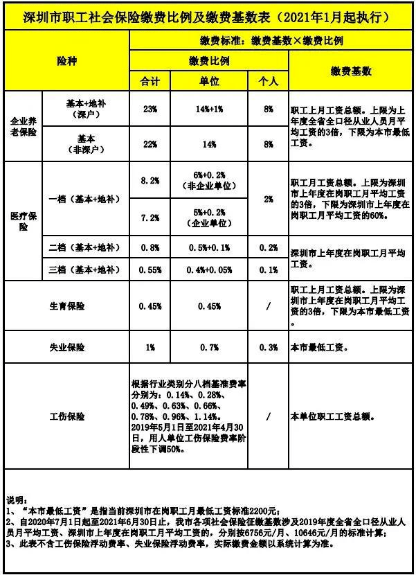 广东省社保最新动态解析，政策解读与要点分析