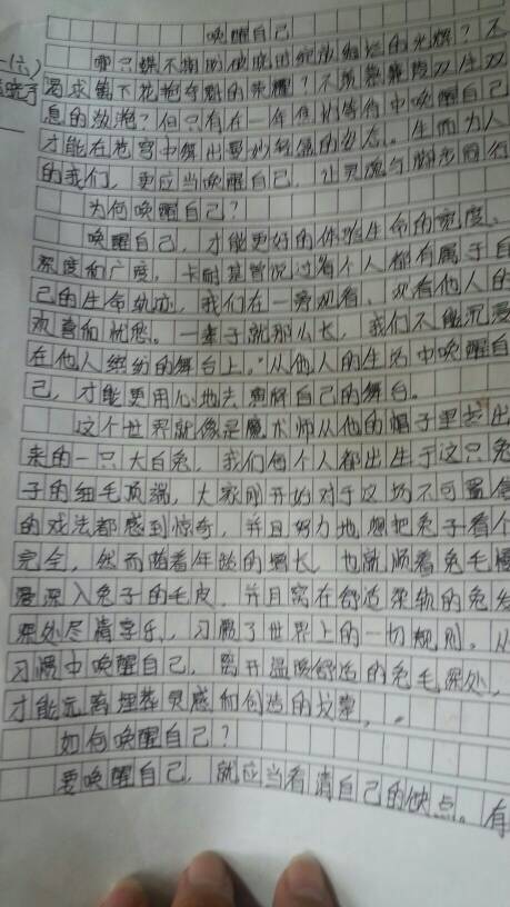 很好，根据您提供的标题，我将为您写一篇1400字以上的文章。以下是文章的结构和内容: