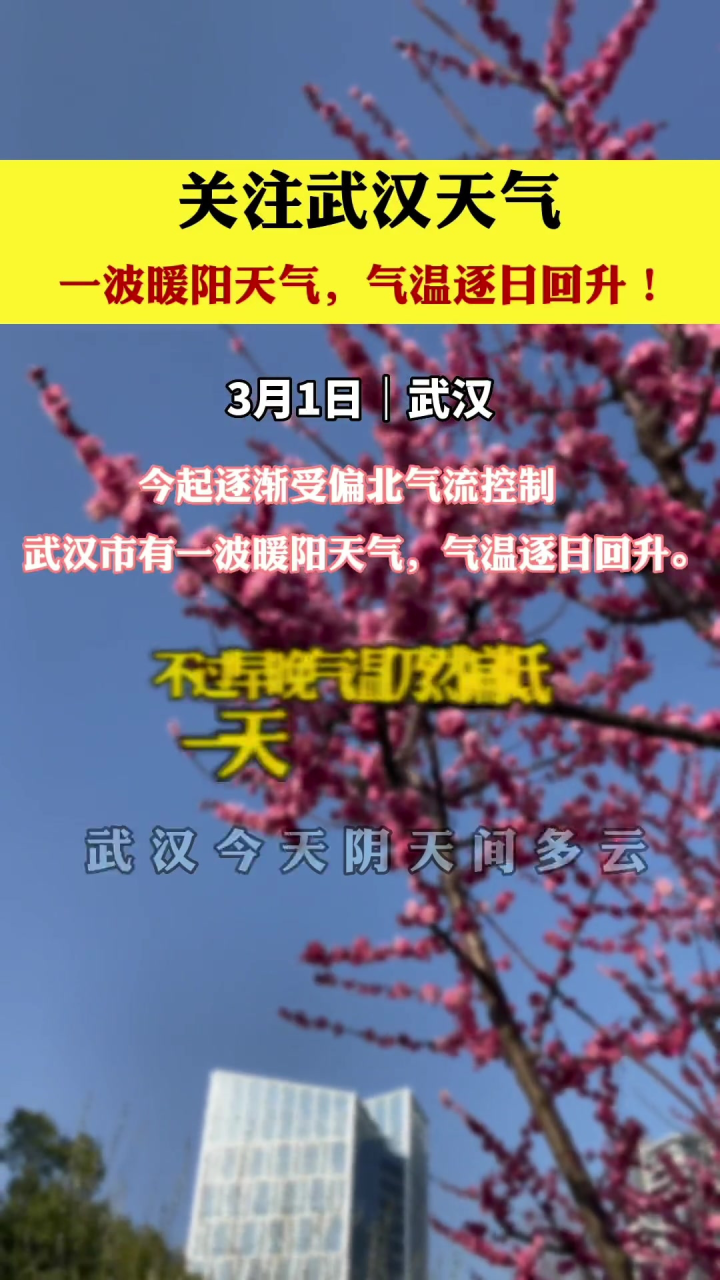 武汉最新天气预报更新，实时天气状况解读