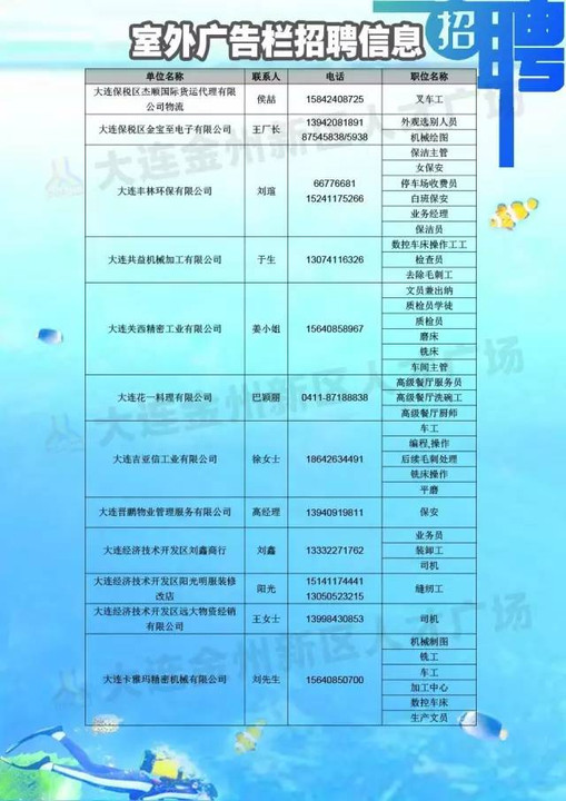 大连金州招聘网最新招聘信息，探寻招聘日的精彩瞬间