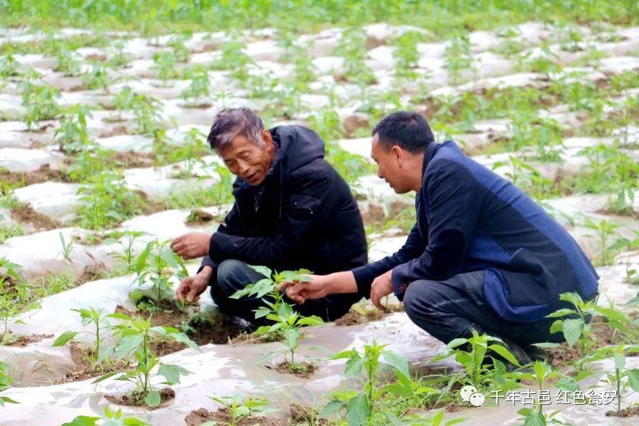 玉山人才网最新招聘启航，探索自然美景，寻找内心平和之旅