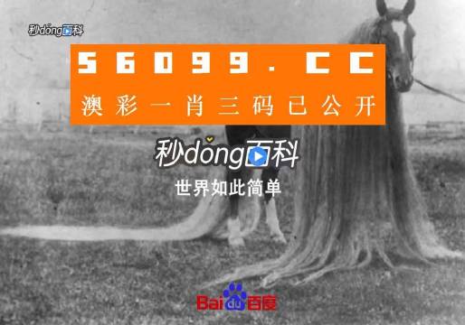 今晚上澳门必中一肖,创新执行设计解析_V48.37