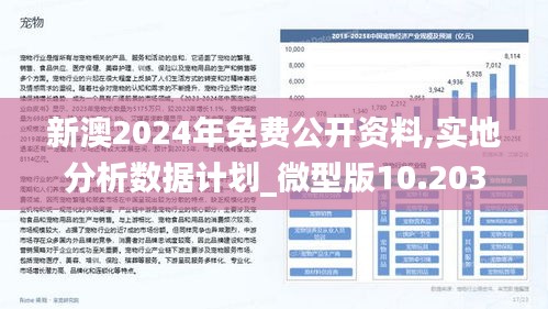 2024年新澳精准正版资料免费,系统分析方案设计_趣味版16.563