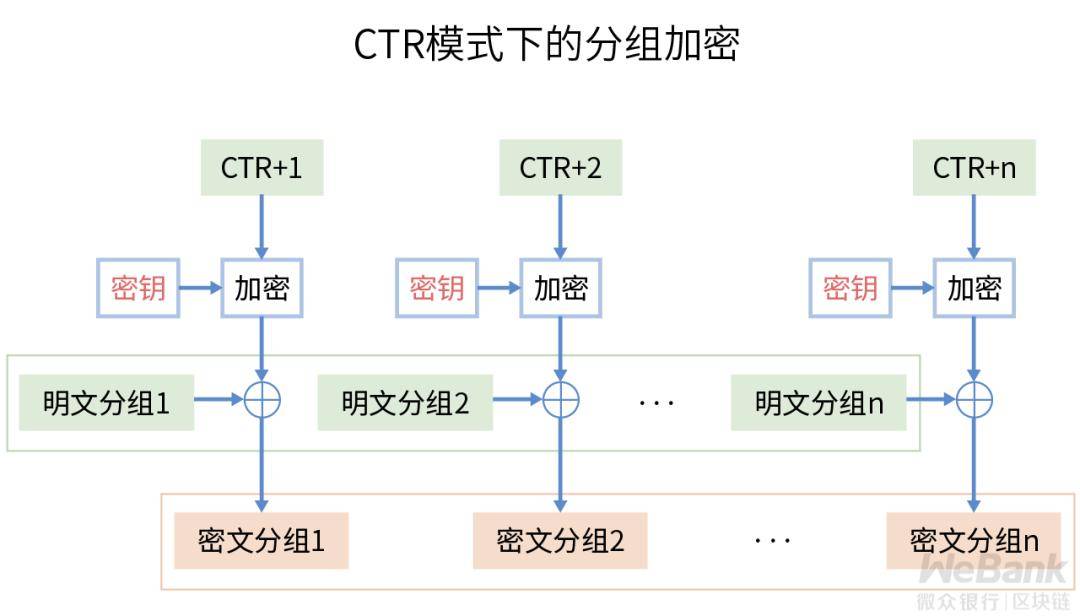 声名鹊起 第4页