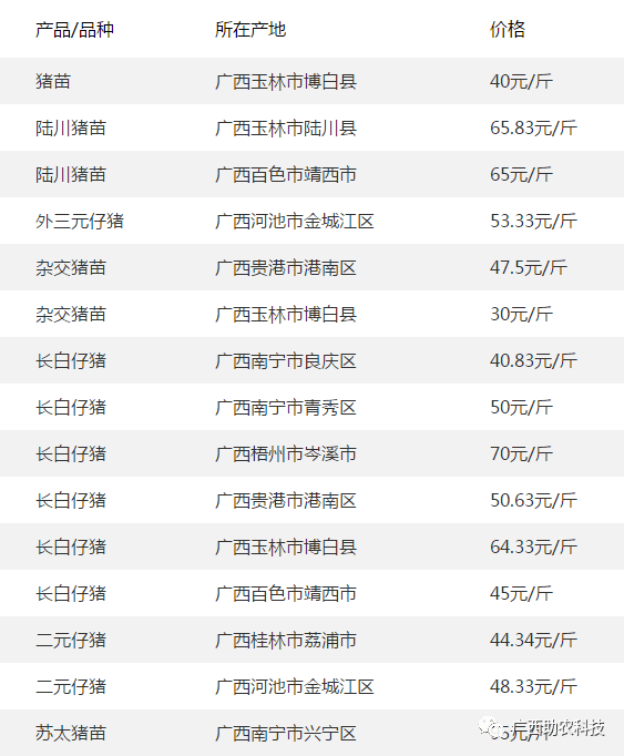 2024年11月新冠高峰期,精细评估方案_电影版25.281