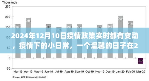 2024年12月疫情,释意性描述解_环保版36.711