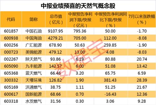 2024新奥精准资料免费大全,稳固执行方案计划_天然版36.232