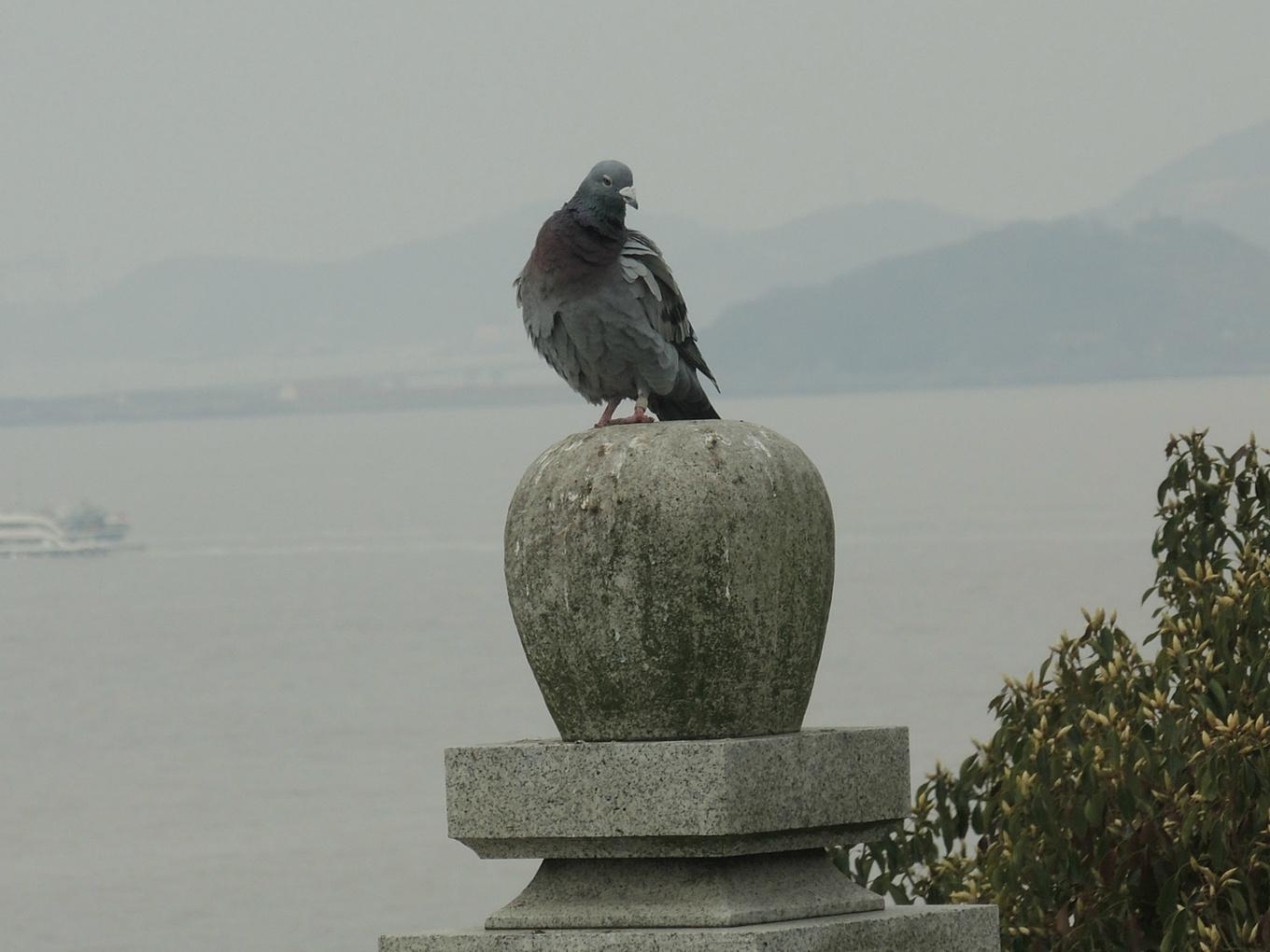 明星哭了,明星哭了，一场寻找内心平静的旅行之旅