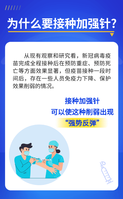 澳门正版精准免费大全,快速实施解答研究_超级版65.654