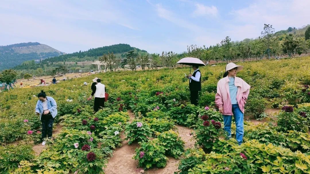 枣庄最新住宅价格,枣庄最新住宅价格，探索自然美景之旅，寻找内心的宁静