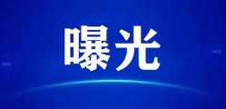 2024年12月17日 第13页