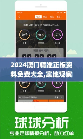 2024澳门历史记录查询,实地观察数据设计_资源版9.686