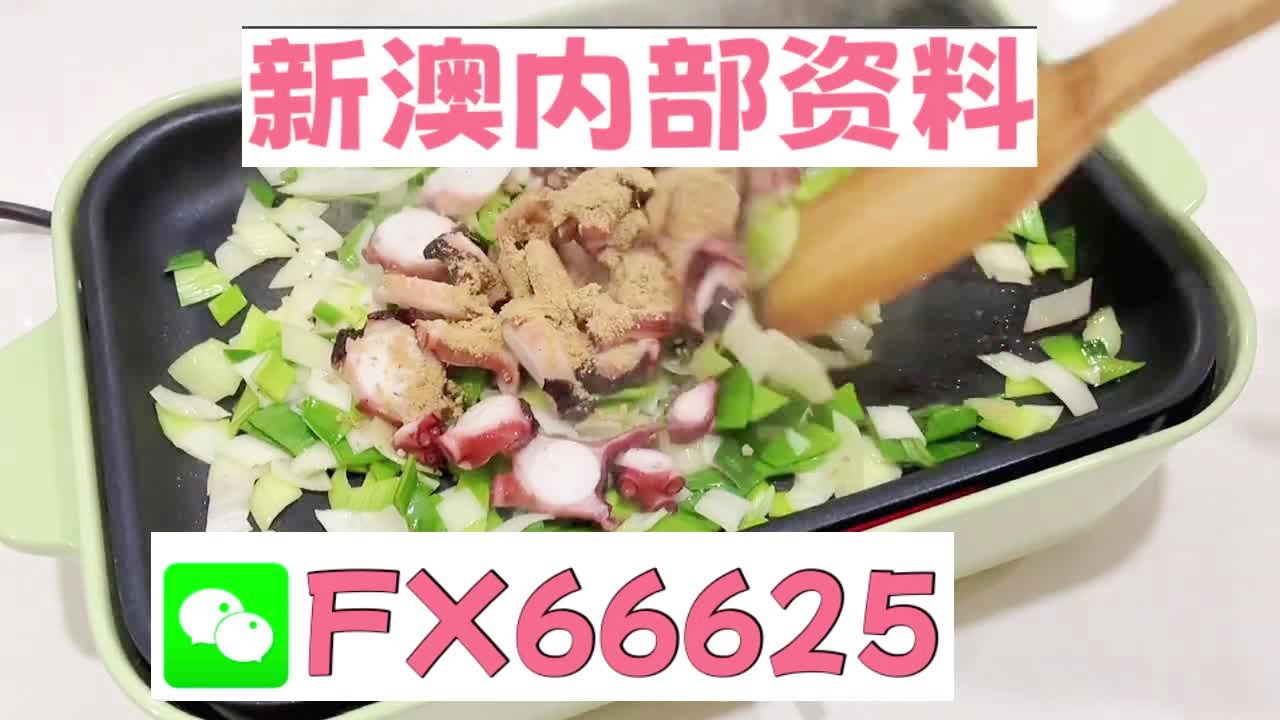 新澳精准内部码资料期期准,快速解答方案设计_线上版9.204