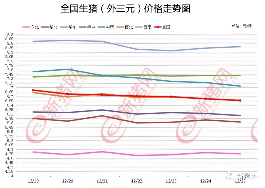 今日生猪价格动态详解，全面指南与最新动态分析