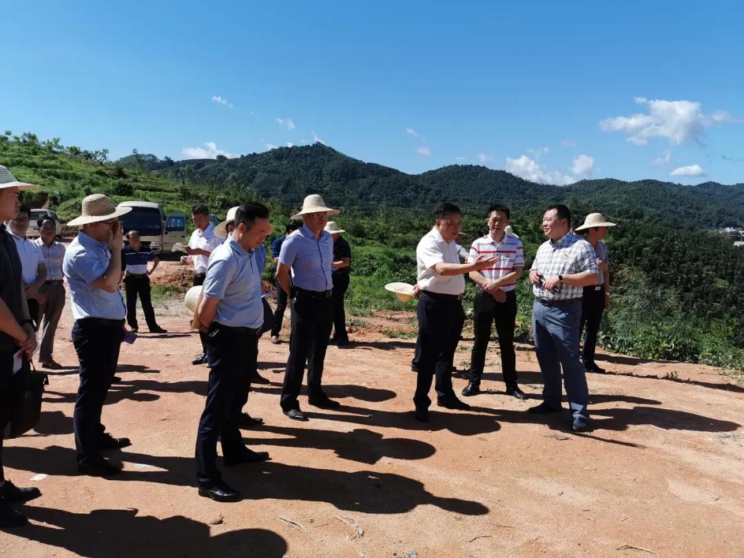 南昌县莲塘最新规划，与自然美景的邂逅，内心平和之旅启程