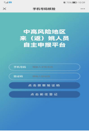 Fins最新版使用指南，完成任务详细步骤概览