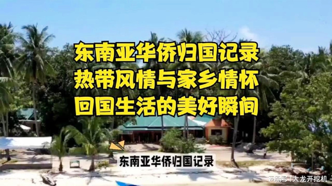 海口热带风情最新资讯，领略新鲜脉搏