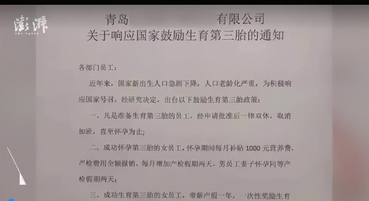 青岛三胎政策最新消息,平衡执行计划实施_精英版23.863