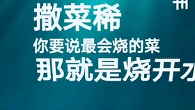 湛江最新司机招聘启事及岗位空缺通知