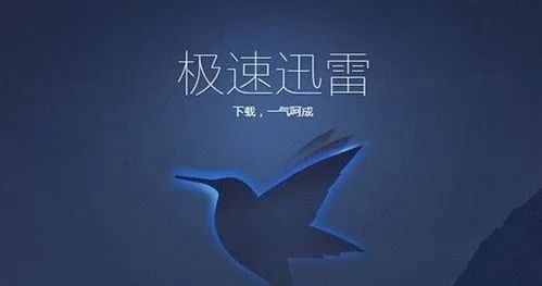 迅雷极速版最新论述，探索其优势与特点