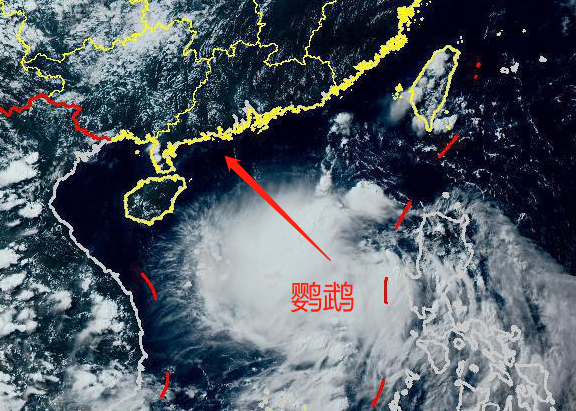 广东鹦鹉台风最新动态，自然美景下的轻松追寻之旅