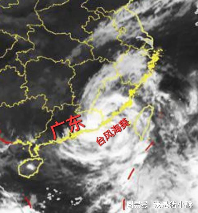 台风最新动态及热带气旋动向，应对准备与预报消息更新