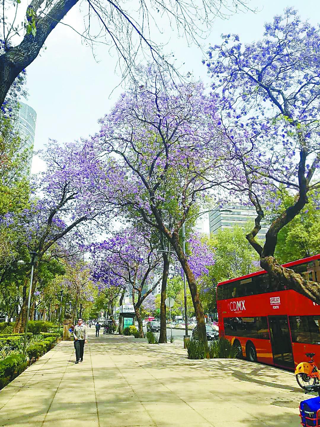 最新领笑员，自然之旅寻找内心平和与喜悦的旅程