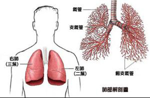 最新肺炎前兆,最新肺炎前兆的小故事