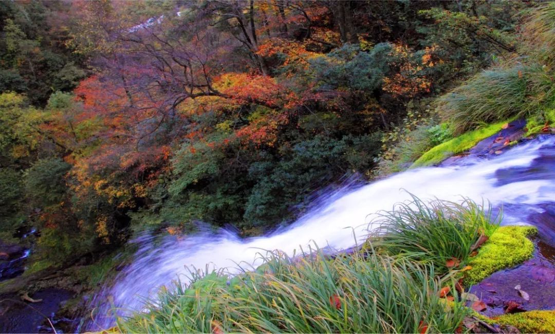 安康市北环线最新动态，自然美景探索之旅启程