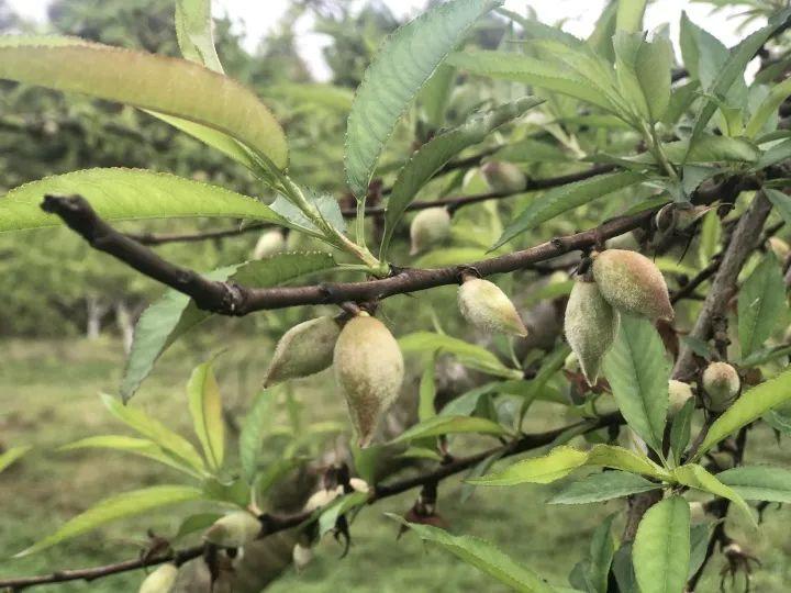 清远临时工最新招聘信息，起步的第一步，改变人生的起点