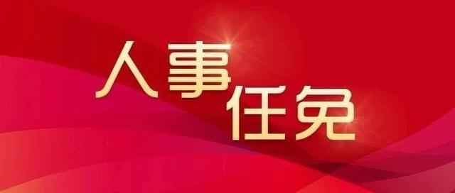 保定市最新干部任免,保定市最新干部任免步骤指南