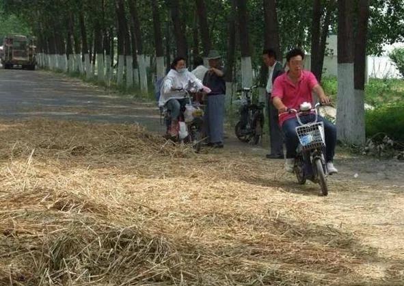 沂水阳光100最新消息,沂水阳光100最新消息，一场自然美景的探索之旅，寻找内心的平和与宁静