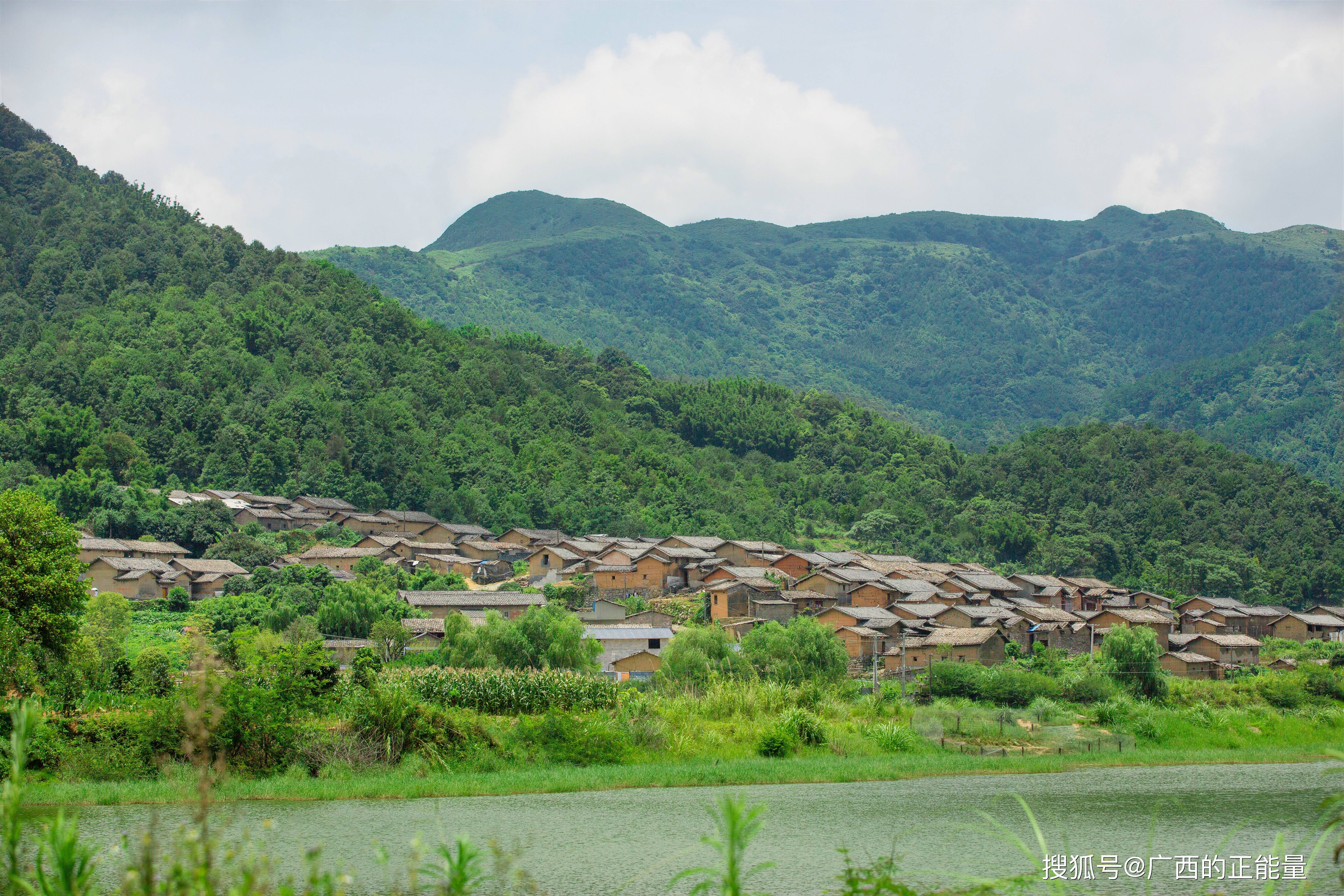 东营区干部最新任免，自然美景探索之旅的领导力更替