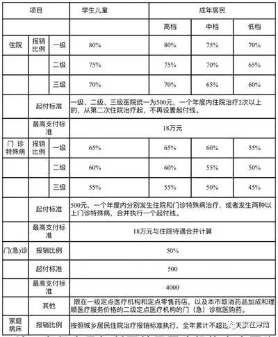 时代背景下的社保个人缴纳比例深度解读与最新政策解析