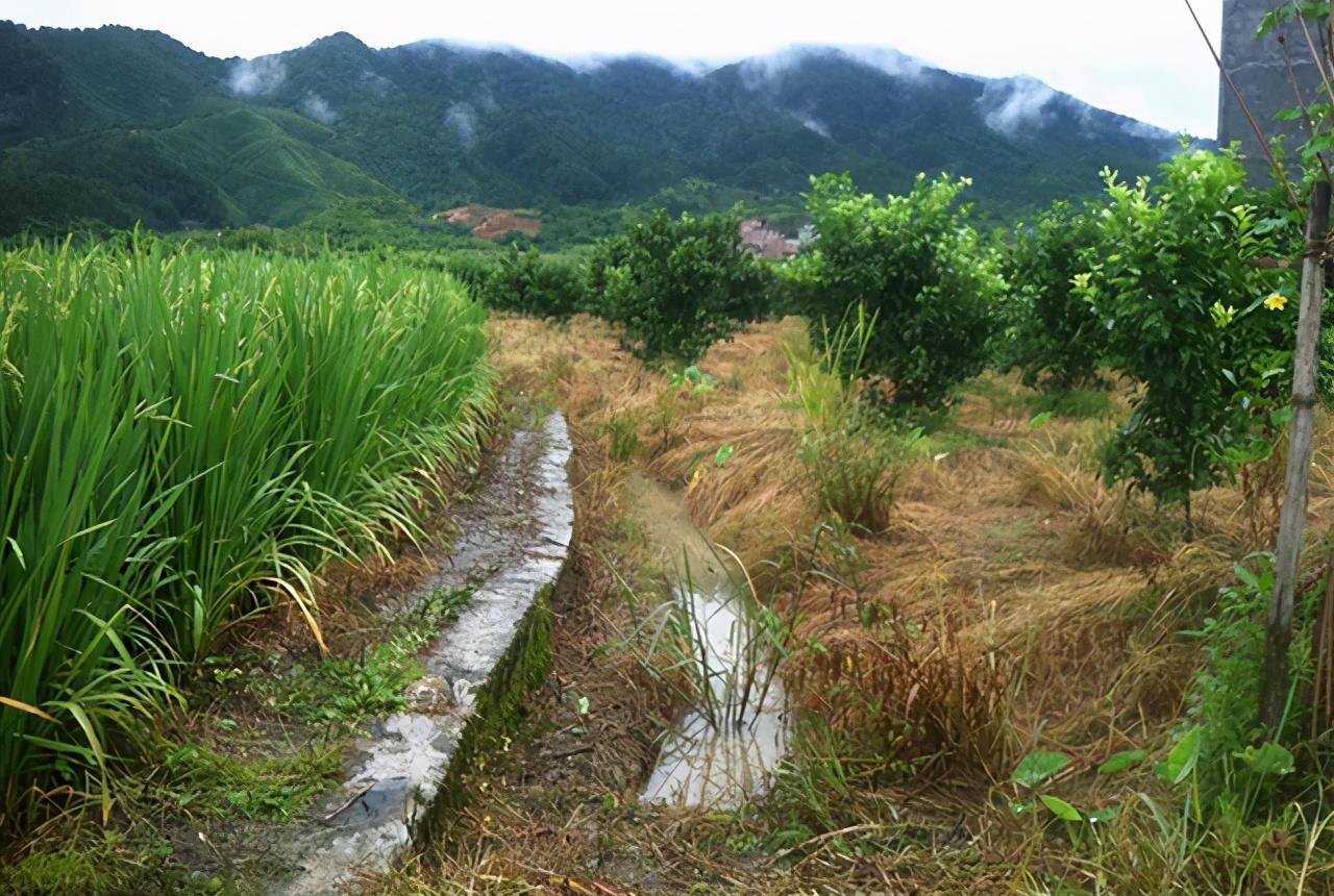 今年最新台风动态及其影响全面解析