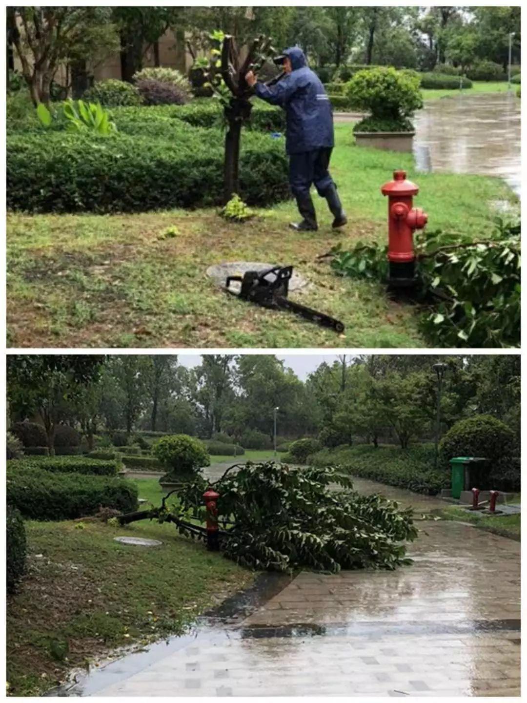 宁波台风最新影响详解及应对台风步骤指南（初学者与进阶用户必备）