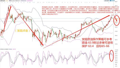 原油最新动态概览，入门指南与关键步骤解析