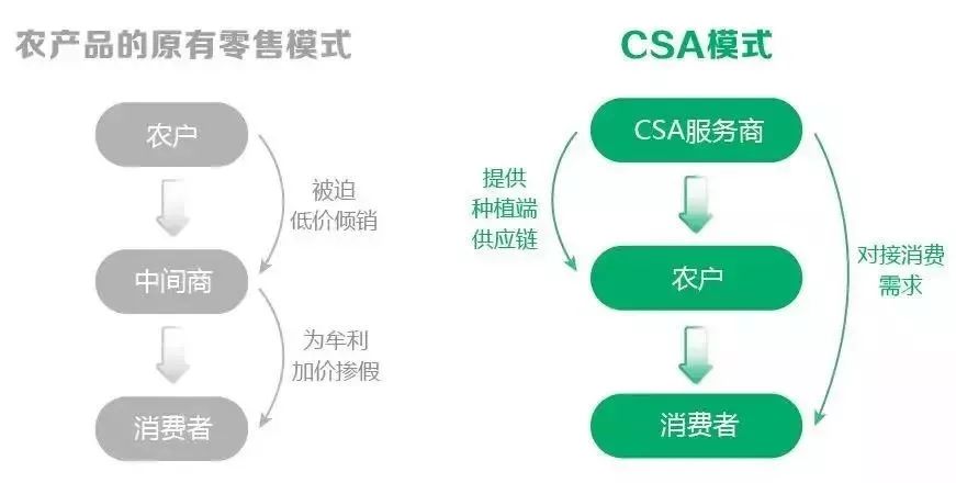 最新风险类别划分详解，如何应对新时代的风险挑战