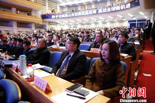 望奎抵债楼最新动态揭秘，市场变化与发展趋势聚焦