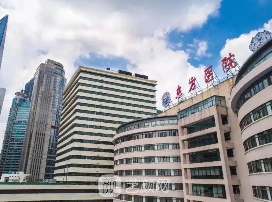 上海三甲医院最新排名，医疗巅峰与一段温馨的友情故事交织呈现