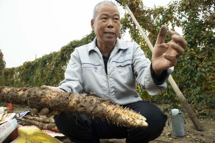 桓台政务网最新招聘，探寻政府机构的职业机遇