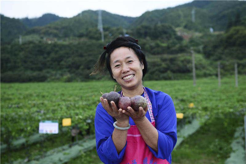 吉首榕江小区新生活序幕揭晓，最新动态与消息速递