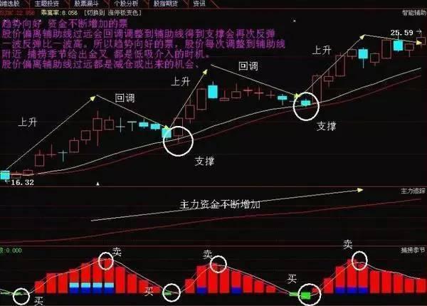 陕西金叶股票最新动态，自然美景探索之旅启幕