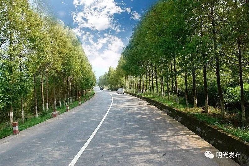 明光257省道最新动态，启程探索自然美景，追寻内心宁静与平和之路