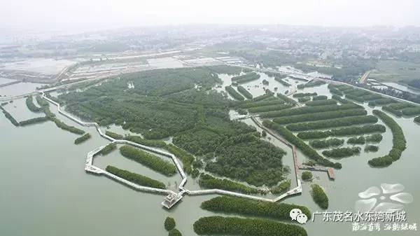 滁州绿林湾，绿色发展的时代典范最新动态