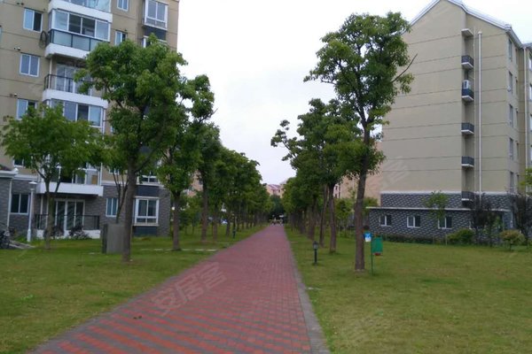 崇明新河绿舟星城，变化中的学习之旅，孕育自信与成就感的源泉