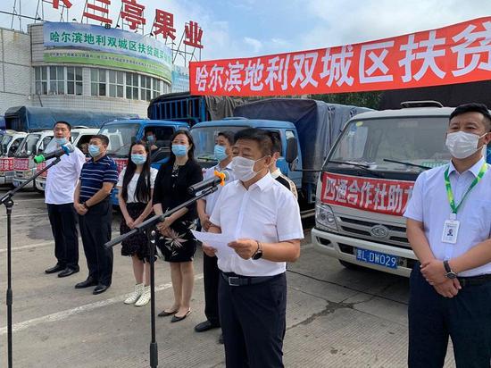 哈尔滨市双城区最新新闻报道