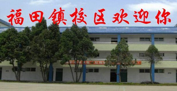博罗县福田镇案件背后的温馨日常，友情与亲情的交织