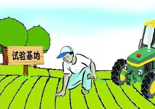 东光招工吧最新招工信息揭秘，小巷中的职业机会宝藏等你来发掘！